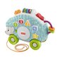 Fisher-Price® Linkimals® sõbralik siil, eesti keeles HHJ43 hind ja info | Imikute mänguasjad | kaup24.ee