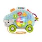 Fisher-Price® Linkimals® sõbralik siil, eesti keeles HHJ43 hind ja info | Imikute mänguasjad | kaup24.ee