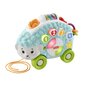 Fisher-Price® Linkimals® sõbralik siil, eesti keeles HHJ43 hind ja info | Imikute mänguasjad | kaup24.ee