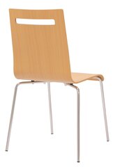Офисное кресло Wood Garden Elsi LC Wood, коричневое цена и информация | Офисные кресла | kaup24.ee
