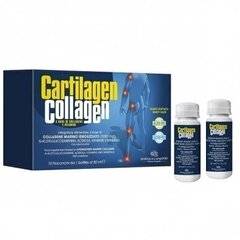 Kollageen Cartilagen, 10 x 50 ml hind ja info | Vitamiinid, toidulisandid, preparaadid tervise heaoluks | kaup24.ee