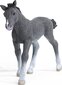 Kujuke hobune Schleich 465217, hall hind ja info | Tüdrukute mänguasjad | kaup24.ee