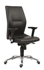 Офисное кресло Wood Garden Lei, серое цена и информация | Офисные кресла | kaup24.ee
