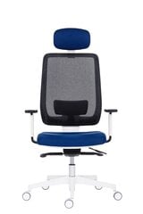 Офисное кресло Wood Garden Syn Eclipse Net с подголовником, серое/синее цена и информация | Офисные кресла | kaup24.ee