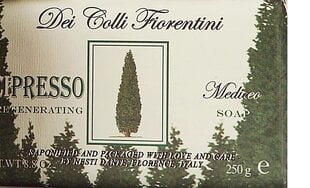 Naturaalne seep Nesti Dante Dei Colli Fiorentini Cipresso Regenerating 250 g hind ja info | Seebid | kaup24.ee