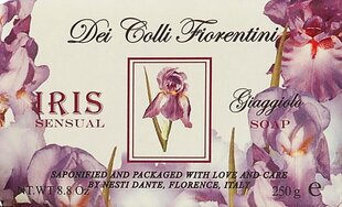 Naturaalne seep Nesti Dante Dei Colli Fiorentini Iris Sensual 250 g цена и информация | Мыло | kaup24.ee