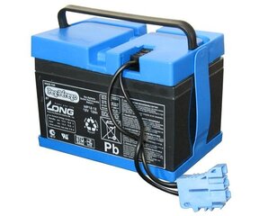 Аккумулятор для электромобиля Peg Perego 12В, 12А/ч цена и информация | Батареи | kaup24.ee