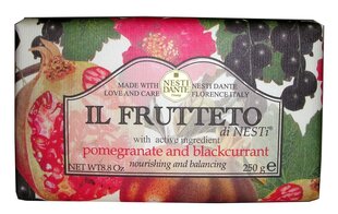 Naturaalne seep Nesti Dante Il Frutteto Pomegranate And Blackcurrant 250 g цена и информация | Мыло | kaup24.ee