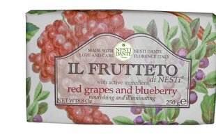 Naturaalne seep Nesti Dante Il Frutteto Red Grapes And Blueberry 250 g цена и информация | Мыло | kaup24.ee