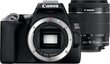 Canon EOS 250D (Black) + EF-S 18-55mm f/4-5.6 IS STM + EF 50mm f/1.8 STM цена и информация | Fotoaparaadid | kaup24.ee