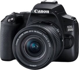 Canon EOS 250D (Black) + EF-S 18-55mm f/4-5.6 IS STM + EF 50mm f/1.8 STM цена и информация | Цифровые фотоаппараты | kaup24.ee