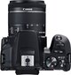 Canon EOS 250D (Black) + EF-S 18-55mm f/4-5.6 IS STM + EF 50mm f/1.8 STM цена и информация | Fotoaparaadid | kaup24.ee