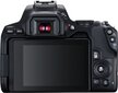 Canon EOS 250D (Black) + EF-S 18-55mm f/4-5.6 IS STM + EF 50mm f/1.8 STM hind ja info | Fotoaparaadid | kaup24.ee