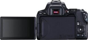 Canon EOS 250D (Black) + EF-S 18-55mm f/4-5.6 IS STM + EF 50mm f/1.8 STM hind ja info | Canon Mobiiltelefonid, foto-, videokaamerad | kaup24.ee