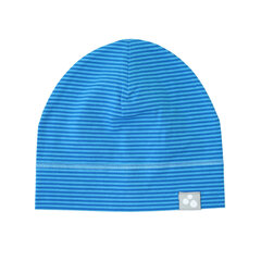 Huppa laste kevad-sügis müts SILAS, sinine цена и информация | Шапки, перчатки, шарфы для мальчиков | kaup24.ee