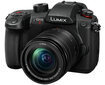 Panasonic Lumix G GH5 II (DC-GH5M2M) + Panasonic LUMIX G Vario 12-60mm f/3.5-5.6 Asph. Power O.I.S (H-FS12060) (Black) цена и информация | Fotoaparaadid | kaup24.ee