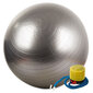 Võimlemispall + pump 65cm taastusravi hind ja info | Võimlemispallid | kaup24.ee