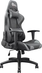 Игровое кресло White shark Terminator, 54x69x127см, черный цена и информация | Офисные кресла | kaup24.ee
