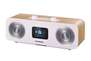 Blaupunkt IR50DAB цена и информация | BLAUPUNKT Бытовая техника и электроника | kaup24.ee