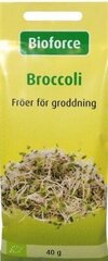 Brokkoli Broccoli Bioforce, 40g hind ja info | Köögivilja-, marjaseemned | kaup24.ee