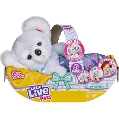 Koala Little Live Pets Cozy Dozys hind ja info | Tüdrukute mänguasjad | kaup24.ee