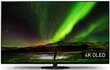 Panasonic TX-65JZ1500E цена и информация | Telerid | kaup24.ee