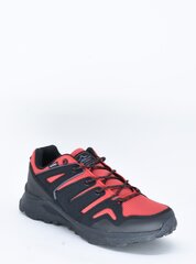 Спортивная обувь для мужчин TARELO 11910931.46 цена и информация | Кроссовки для мужчин | kaup24.ee