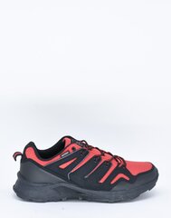 Спортивная обувь для мужчин TARELO 11910931.46 цена и информация | Кроссовки для мужчин | kaup24.ee