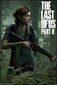 The Last of Us 2 Ellie – plakat 61 x 91,5 cm цена и информация | Seinapildid | kaup24.ee