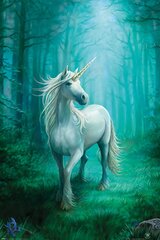 Anne Stokes Ükssarvik - plakat 61 x 91,5 cm hind ja info | Seinapildid | kaup24.ee