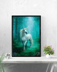 Anne Stokes Ükssarvik - plakat 61 x 91,5 cm hind ja info | Seinapildid | kaup24.ee