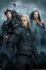 The Witcher Heroes – plakat 61 x 91,5 cm hind ja info | Fännitooted mänguritele | kaup24.ee