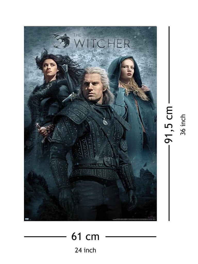 The Witcher Heroes – plakat 61 x 91,5 cm hind ja info | Fännitooted mänguritele | kaup24.ee