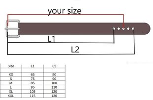 Кожаный ремень 38мм, 6 размеров, Коричневый. Пряжка с двумя язычками. цена и информация | Мужские ремни | kaup24.ee