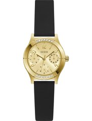 Kellad Guess GW0451L1 цена и информация | Женские часы | kaup24.ee