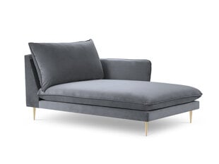 Pehme mööbli komplekt Cosmopolitan Design Florence, hall hind ja info | Diivanid ja diivanvoodid | kaup24.ee