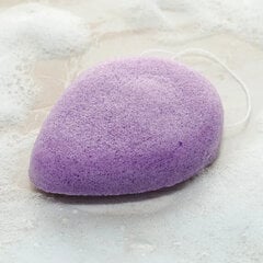 Pick of the Bunch Daisy Lane Pure Konjac Mini Очищающая губка для лица Calming Lavander цена и информация | Кисти для макияжа, спонжи | kaup24.ee