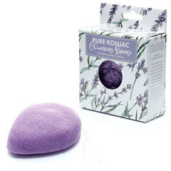 Pick of the Bunch Daisy Lane Pure Konjac Mini Очищающая губка для лица Calming Lavander цена и информация | Кисти для макияжа, спонжи | kaup24.ee