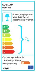 Candellux laevalgusti Mango hind ja info | Laelambid | kaup24.ee