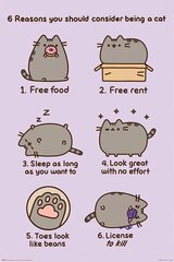 Pusheen Reasons to be a Cat – plakat 61 x 91,5 cm hind ja info | Seinapildid | kaup24.ee