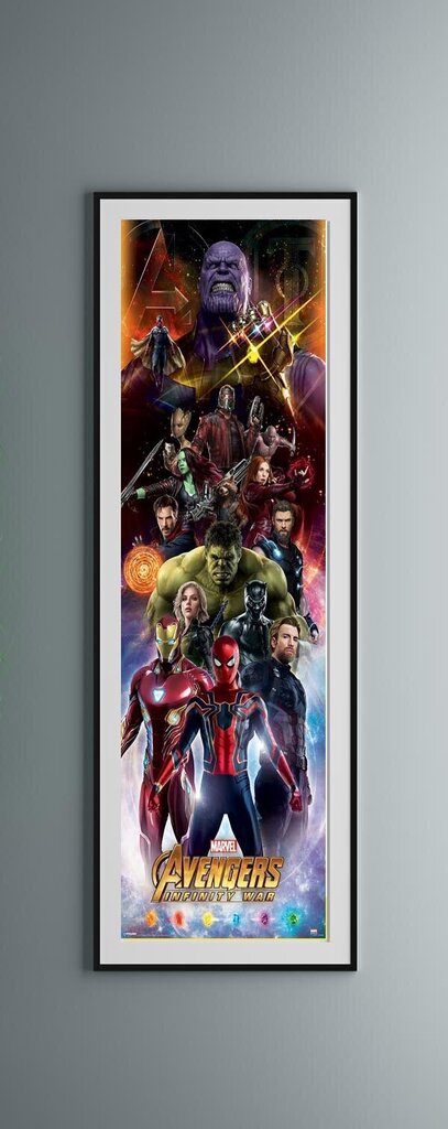 Avengers Infinity War Heroes – plakat 53 x 158 cm цена и информация | Seinapildid | kaup24.ee