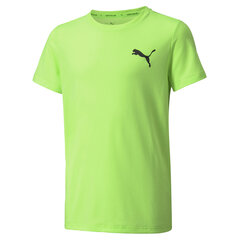 T-särk poistele Puma Active Small Logo Tee B Green 58698045 hind ja info | Poiste särgid | kaup24.ee