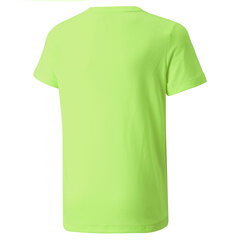 T-särk poistele Puma Active Small Logo Tee B Green 58698045 hind ja info | Poiste särgid | kaup24.ee