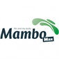 Rull Mambo Max, täis EVA 45 cm, sinine hind ja info | Massaažikaubad | kaup24.ee