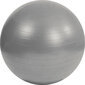 Pehme treeningpall Mambo Max AB Gym Ball 95 cm, hõbedane, mitteplahvatav hind ja info | Võimlemispallid | kaup24.ee