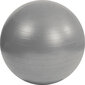 Pehme treeningpall Mambo Max AB Gym Ball 95 cm, hõbedane, mitteplahvatav цена и информация | Võimlemispallid | kaup24.ee