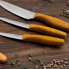 Ножи Quid Carnivoro (21,5 cм) цена и информация | Ножи и аксессуары для них | kaup24.ee