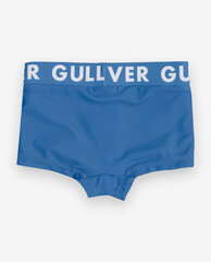 Двухцветные плавки для мальчиков Gulliver, 86/92 см цена и информация | Шорты для плавания для мальчиков | kaup24.ee