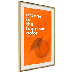 Poster - Orange Colour hind ja info | Seinapildid | kaup24.ee