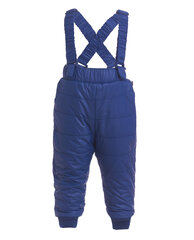 Синие утепленные демисезонные брюки для мальчиков Gulliver цена и информация | Зимняя одежда для детей | kaup24.ee